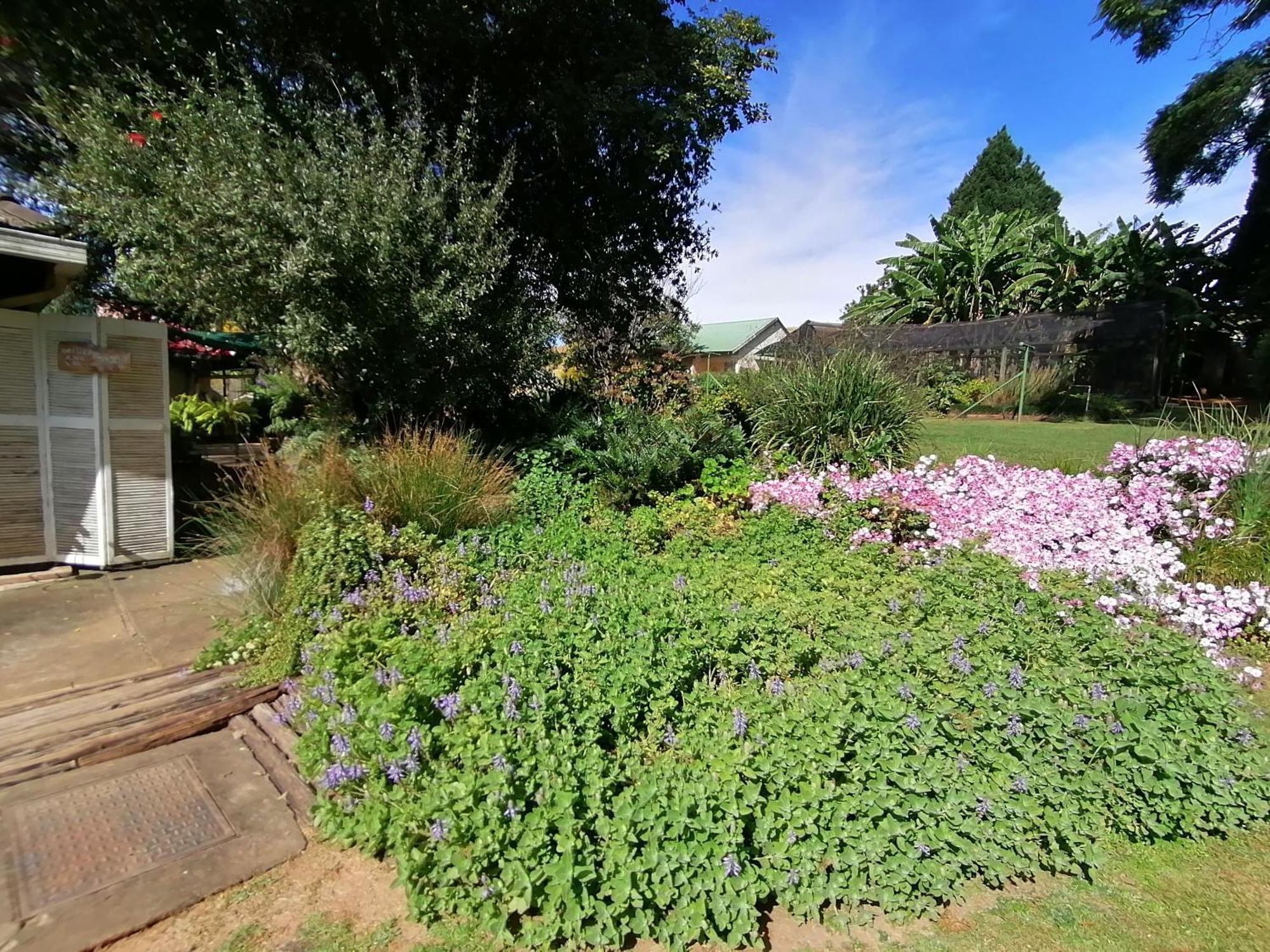 Bed and Breakfast Bell Park Self Catering Champagne Valley Esterno foto